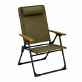 Folding Chair with Canvas Seat and Wooden Armrests, Olive Green Steel Frame
